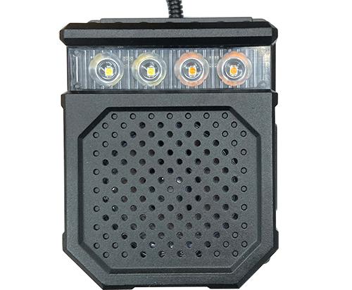 Sound and light alarm