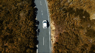 ADAS and DMS Cameras